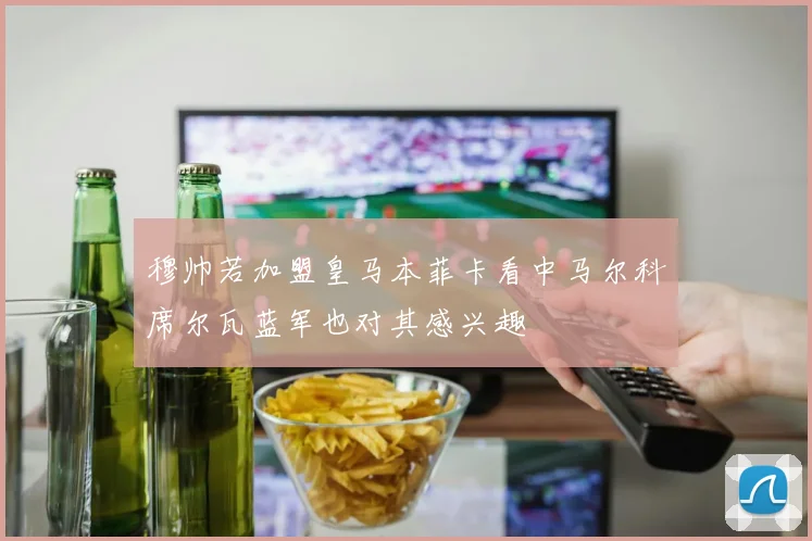 穆帅若加盟皇马本菲卡看中马尔科席尔瓦蓝军也对其感兴趣