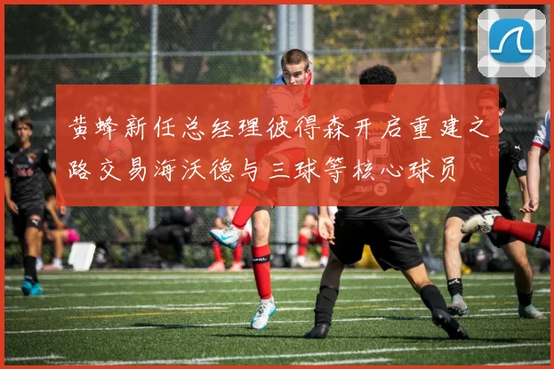 黄蜂新任总经理彼得森开启重建之路交易海沃德与三球等核心球员