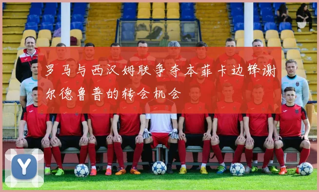 罗马与西汉姆联争夺本菲卡边锋谢尔德鲁普的转会机会