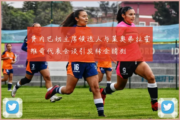 费内巴切主席候选人与莱奥弗拉霍维奇代表会谈引发转会猜测