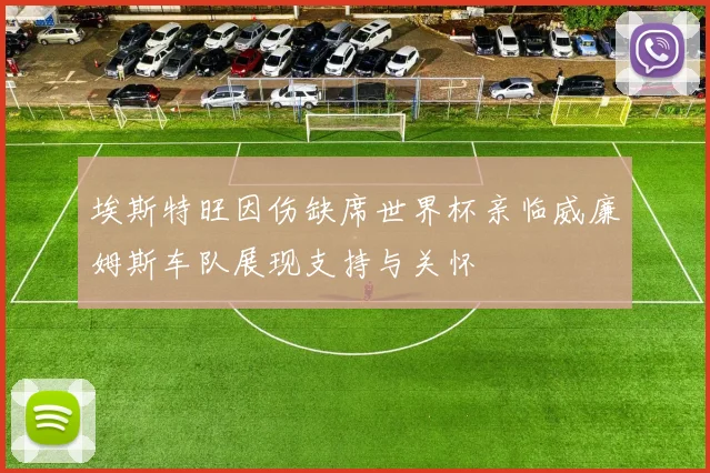 埃斯特旺因伤缺席世界杯亲临威廉姆斯车队展现支持与关怀